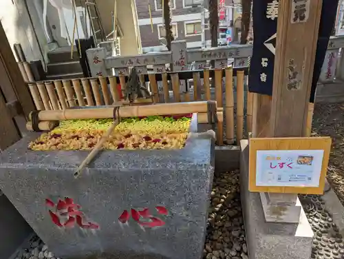 高円寺氷川神社の手水