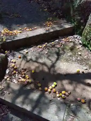 福泉寺(静岡県)