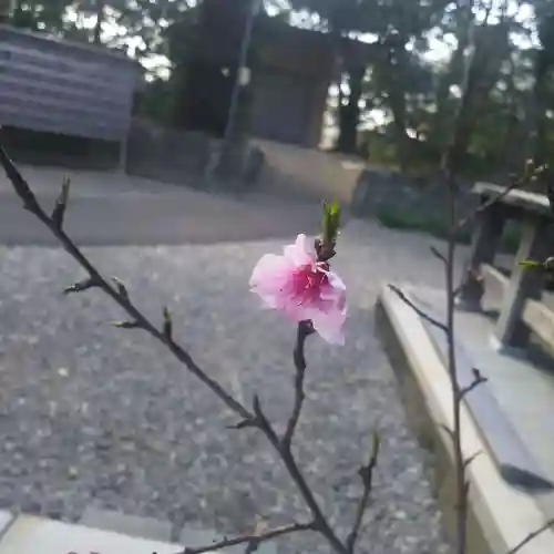 府八幡宮の自然