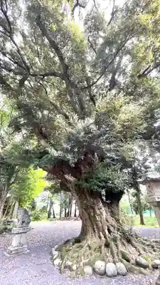 阿自賀神社(三重県)