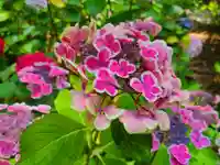 筥崎宮(福岡県)