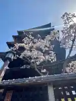 法観寺(京都府)
