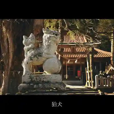 筒賀大歳神社の狛犬