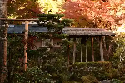 圓光寺(京都府)