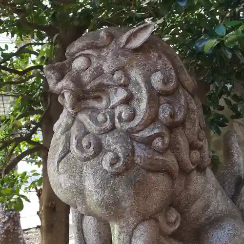 築土神社の狛犬