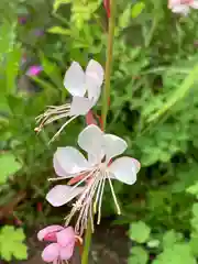 鶴林寺の自然