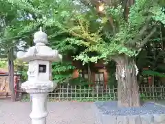 市谷亀岡八幡宮の建物その他