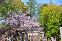 師岡熊野神社(神奈川県)