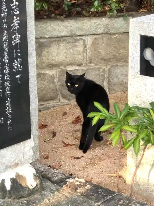 綱敷天満宮の動物