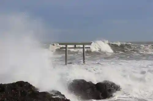大洗磯前神社の自然
