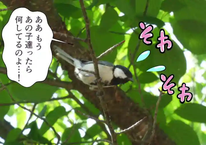 留辺蘂神社の動物