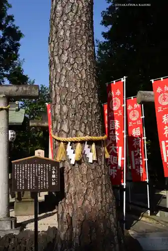 中野沼袋氷川神社(東京都)