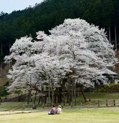 淡墨観音の御朱印
