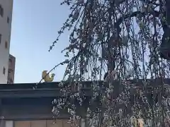 湯島天満宮の建物その他