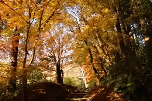 香取神宮(千葉県)