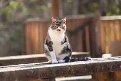 玉野御嶽神社(愛知県)