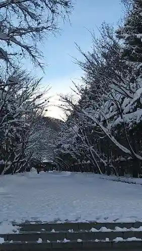 北海道神宮の景色