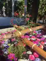 住吉神社の手水舎