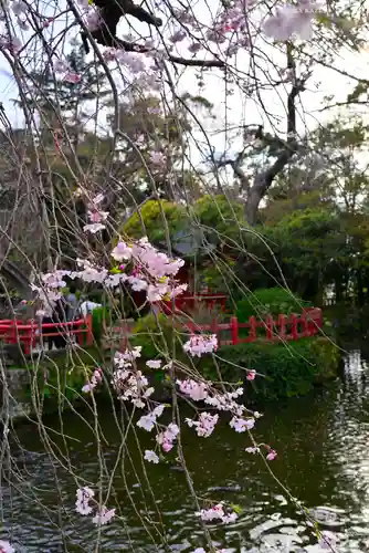 三嶋大社(静岡県)