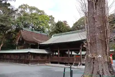 宗像大社中津宮(福岡県)