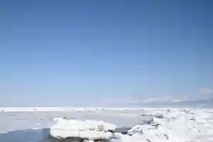 宝光寺の自然(2023年06月10日(土) 08時05分26秒投稿)