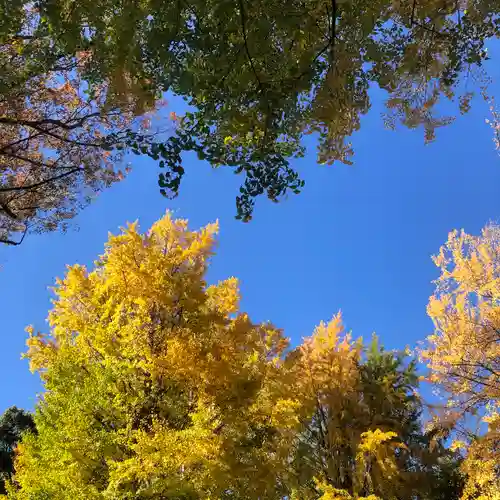 田無神社の自然