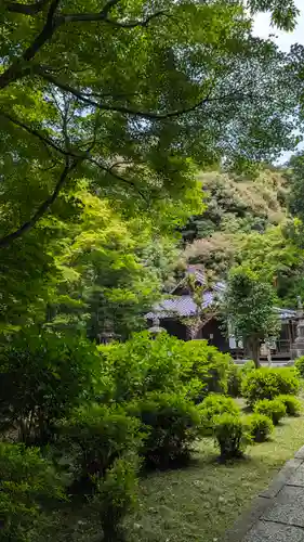 来迎院(京都府)