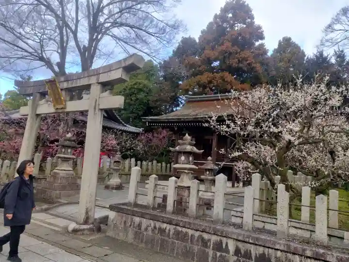 城南宮(京都府)