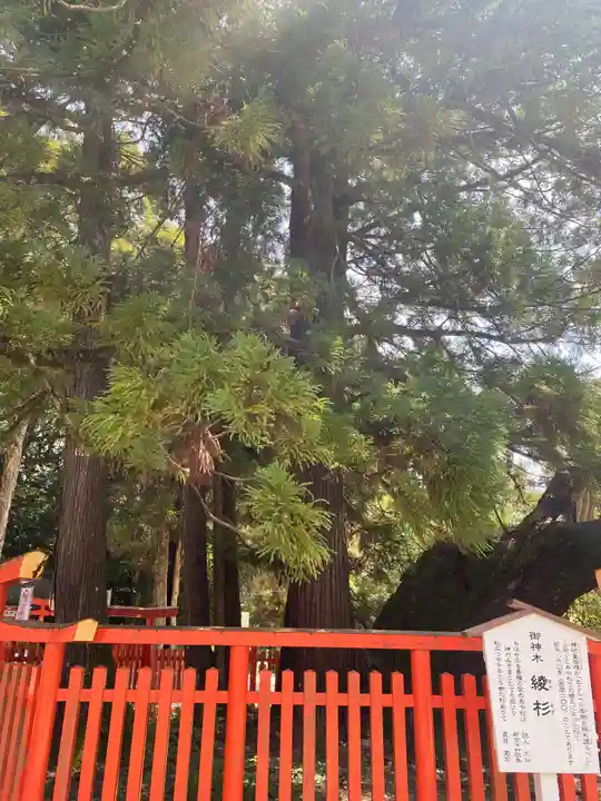 香椎宮(福岡県)