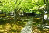 黄梅院(京都府)