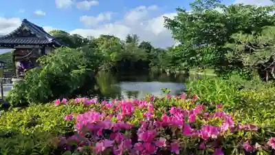 神泉苑(京都府)