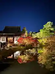 高台寺（高台寿聖禅寺・高臺寺）(京都府)