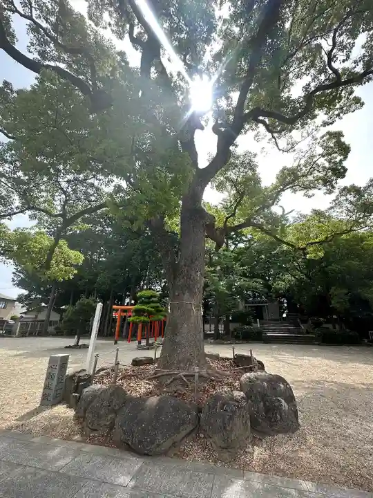 久居八幡宮(野邊野神社)(三重県)