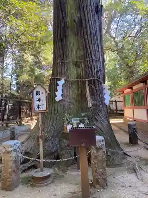 一言主神社(茨城県)