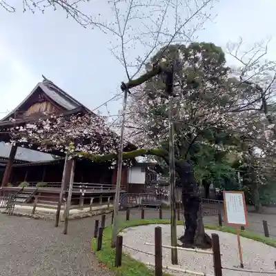 靖國神社(東京都)