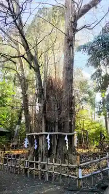 大國魂神社(東京都)