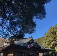 東村山八坂神社の本殿・本堂