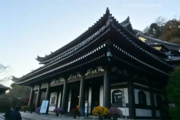 長谷寺(神奈川県)