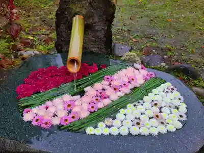 高林寺の手水舎