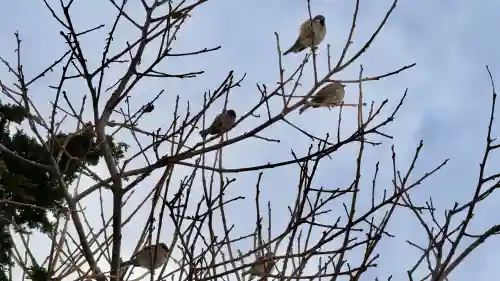 七重浜海津見神社の{uncategorized: "未分類", other: "その他", undefined: "問題あり", building: "その他建物", grave: "お墓", sacred_gate: "鳥居", guardian: "狛犬", statue: "像", buddha: "仏像", history: "歴史", nature: "自然", garden: "庭園", animal: "動物", pagoda: "塔", temizu: "手水舎", mountain_gate: "山門・神門", sanctuary: "本殿・本堂", subordinate: "末社・摂社", art: "芸術", scenery: "景色", jizo: "地蔵", ema: "絵馬", goshuin: "御朱印", omikuji: "おみくじ", items: "授与品その他", amulet: "お守り", goshuincho: "御朱印帳", eats: "食事", festival: "お祭り", votive_dance: "神楽", shichigosan: "七五三参", wedding: "結婚式", experience: "体験その他", initially: "初詣", around: "周辺", anti_infection: "感染症対策"}
