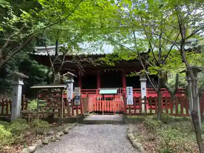 静岡浅間神社(静岡県)