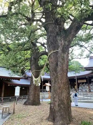 明治神宮の自然