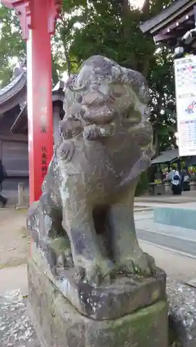 川越八幡宮の狛犬