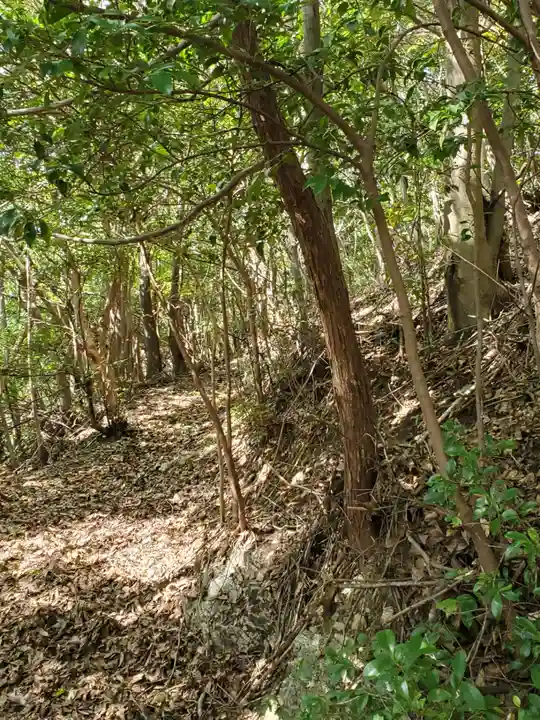 赤坂浅間神社の周辺