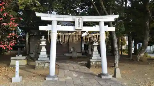 白髭神社の鳥居