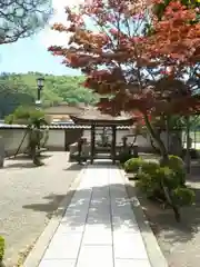 石田神社の自然