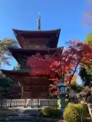 豪徳寺(東京都)