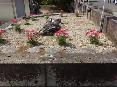 観護寺のその他建物