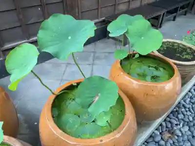 泥牛庵(神奈川県)