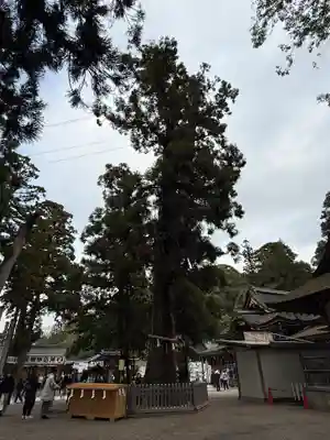 大神神社(奈良県)